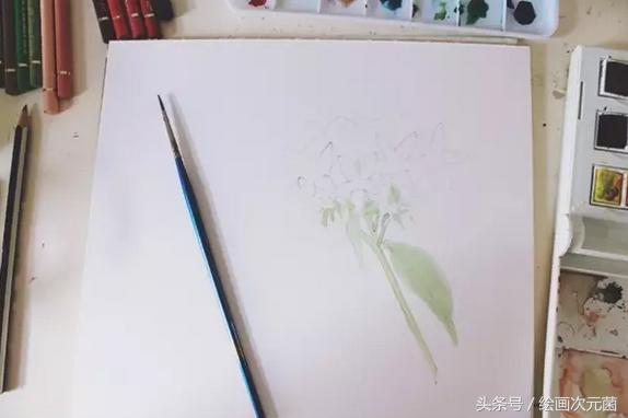 初学者怎样画小花，教初学者简单的画一朵小花吧