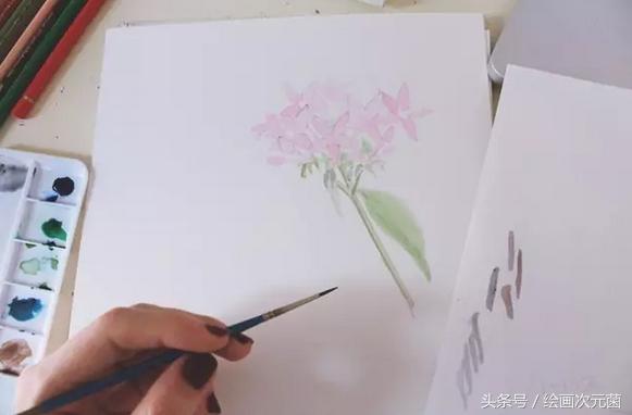 初学者怎样画小花，教初学者简单的画一朵小花吧