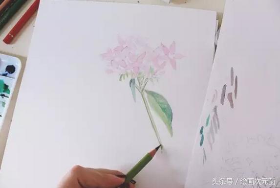 初学者怎样画小花，教初学者简单的画一朵小花吧