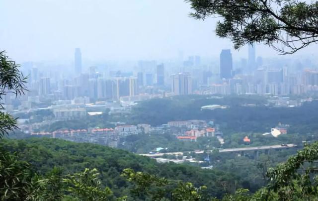 南粤是指什么地方，广东是什么样的地方