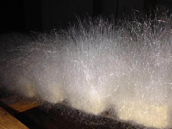 最简单的毛豆腐做法，他做的正宗安徽毛豆腐