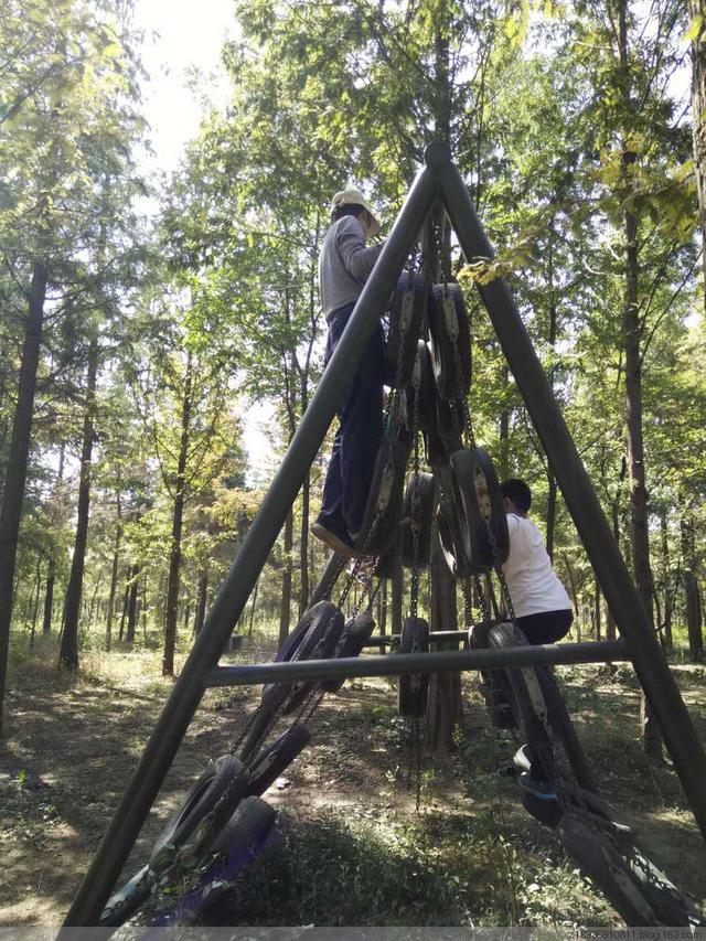 三台山森林公园，宿迁三台山的八大美景（三台山国家森林公园晨景如画）