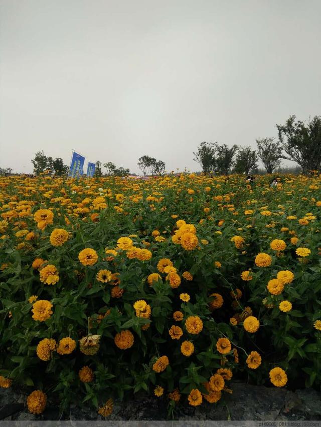 三台山森林公园，宿迁三台山的八大美景（三台山国家森林公园晨景如画）