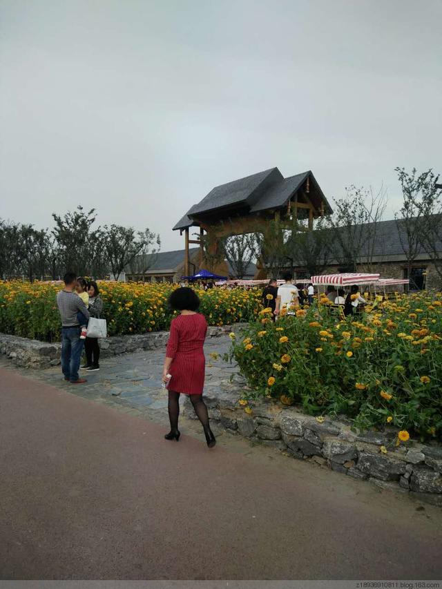 三台山森林公园，宿迁三台山的八大美景（三台山国家森林公园晨景如画）