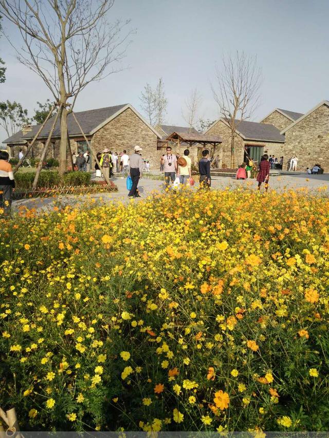 三台山森林公园，宿迁三台山的八大美景（三台山国家森林公园晨景如画）