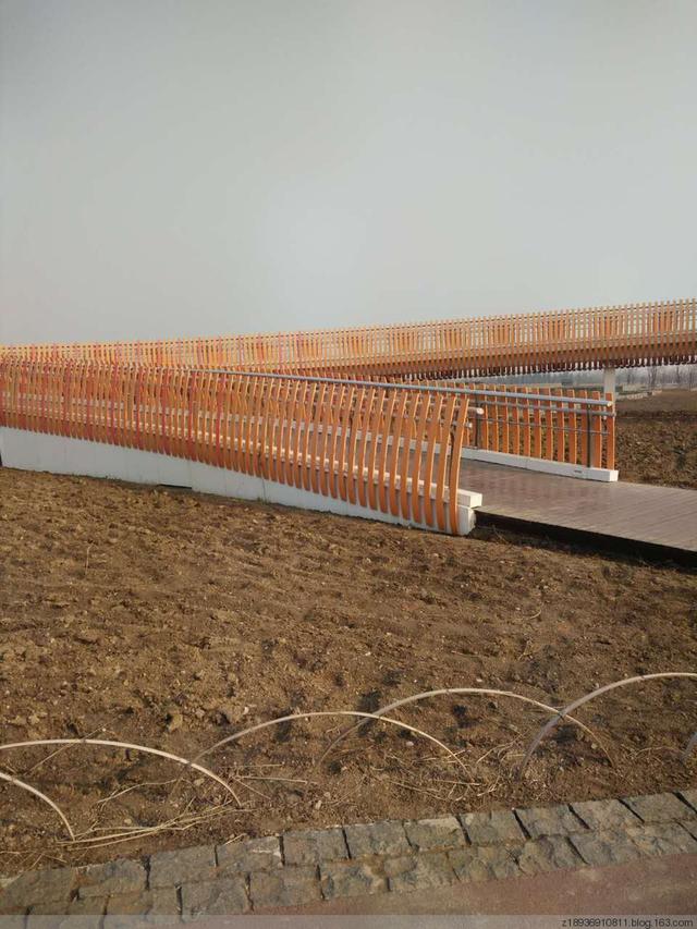 三台山森林公园，宿迁三台山的八大美景（三台山国家森林公园晨景如画）