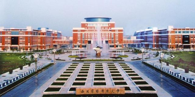 南京农业大学算是几流大学，南京农业大学为什么这么受欢迎