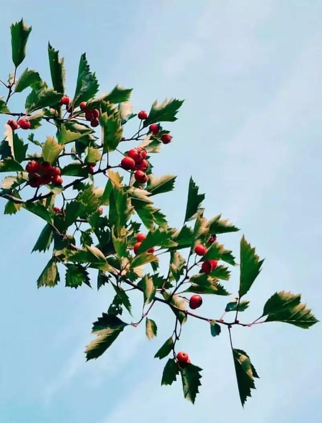 晚安一句话180910：最好的安慰，就是无言的陪伴