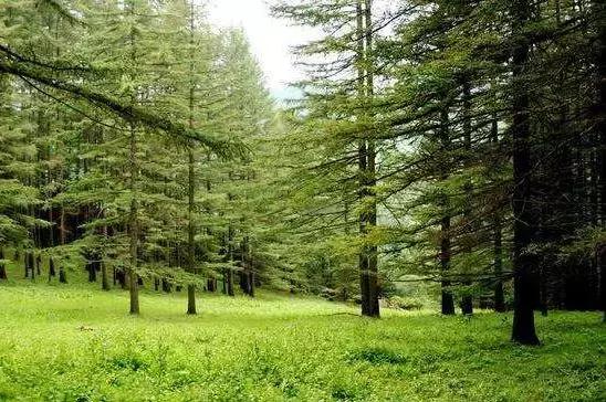 山西交城县国家森林公园，千年古县山水交城