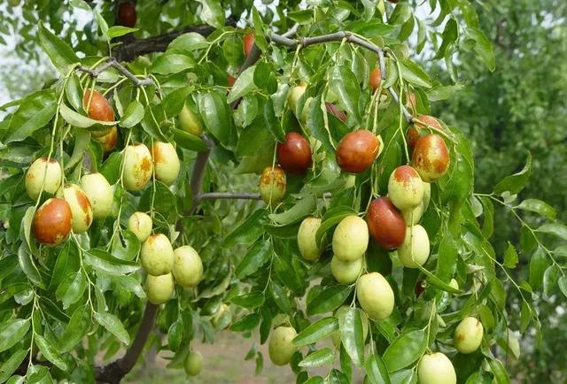 山西交城县国家森林公园，千年古县山水交城