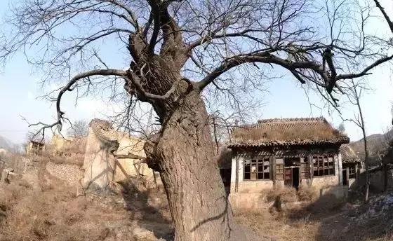 山西交城县国家森林公园，千年古县山水交城