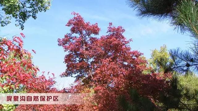 山西交城县国家森林公园，千年古县山水交城