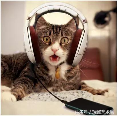 单田芳评书白眉大侠，单田芳白眉大侠评书