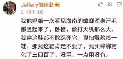 排名第一的灭蟑螂神器，实测这几种灭蟑产品