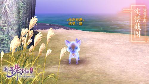 诛仙手游仙府详细攻略，诛仙手游仙府怎么玩