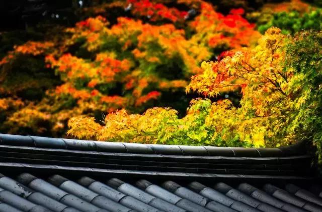 早安感悟180912：秋意浓，请添衣