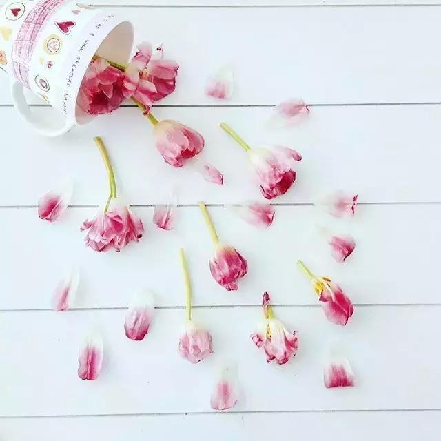 晚安好句子180913：不要垂头丧气，显矮