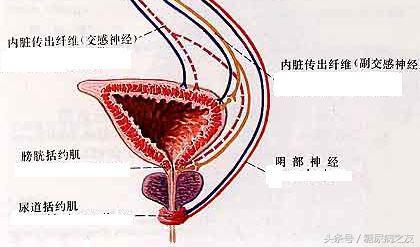 一源性糖尿病(一源性糖尿病能治好吗)