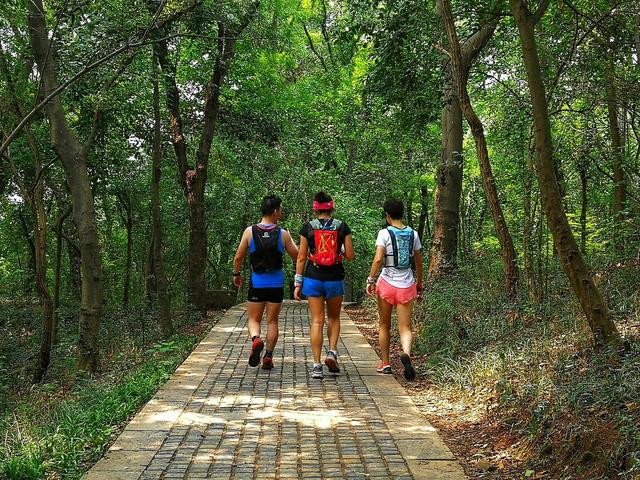 夜爬梧桐山一日游攻略，爬来爬去就这6种玩法