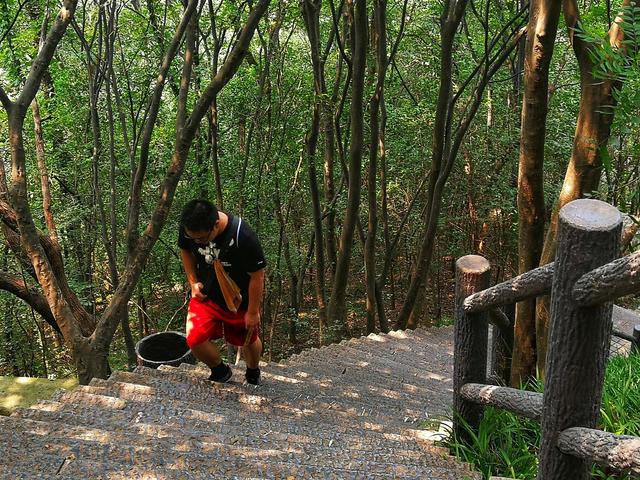 夜爬梧桐山一日游攻略，爬来爬去就这6种玩法