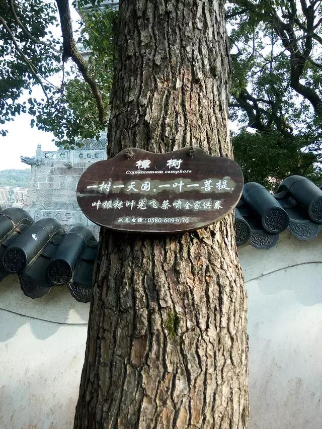 观世音菩萨道场，普陀山观世音菩萨成道