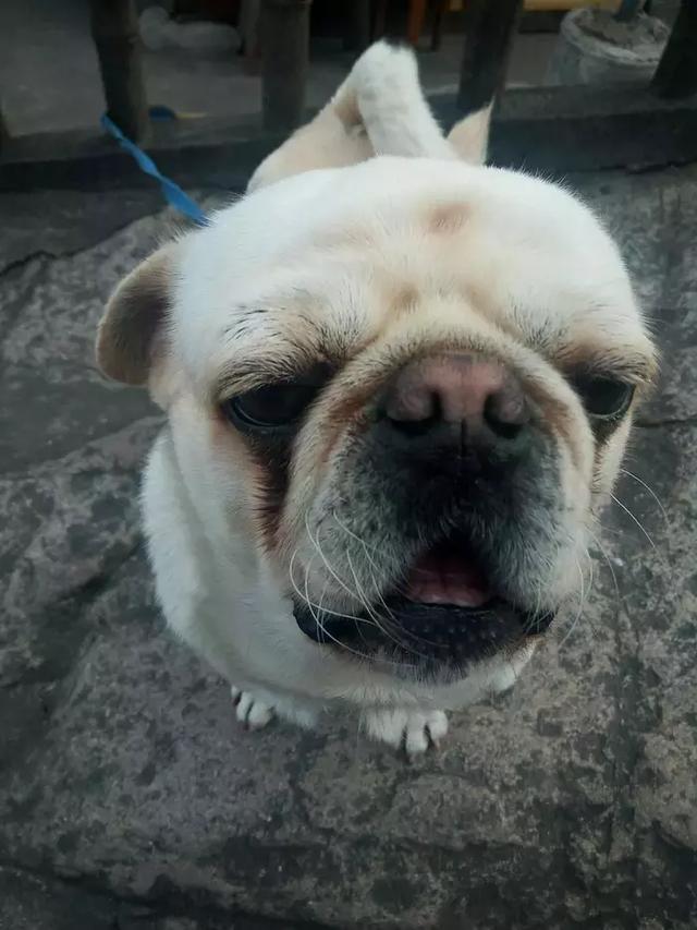 观世音菩萨道场，普陀山观世音菩萨成道