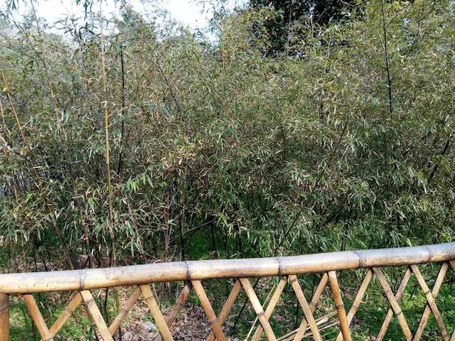 观世音菩萨道场，普陀山观世音菩萨成道