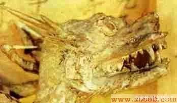 昆仑山里真的有龙吗，传说中的龙是否真的存在