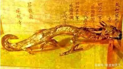 昆仑山里真的有龙吗，传说中的龙是否真的存在