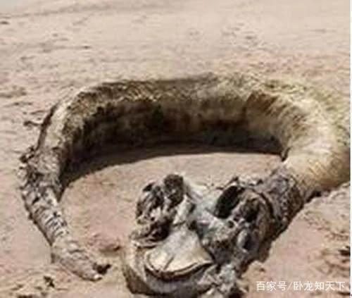 昆仑山里真的有龙吗，传说中的龙是否真的存在