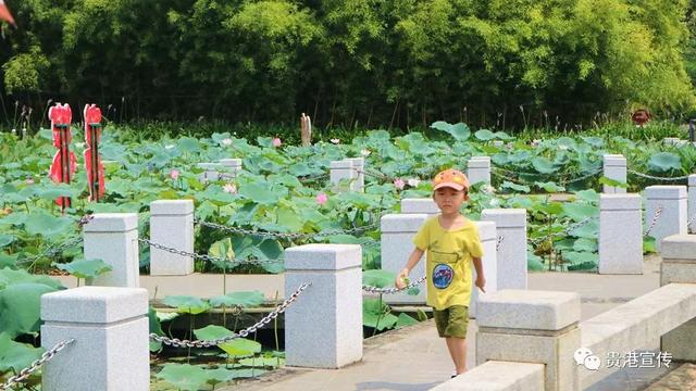 贵港市旅游景点，贵港旅游景点介绍大全集（盘点20个值得一去的好地方）