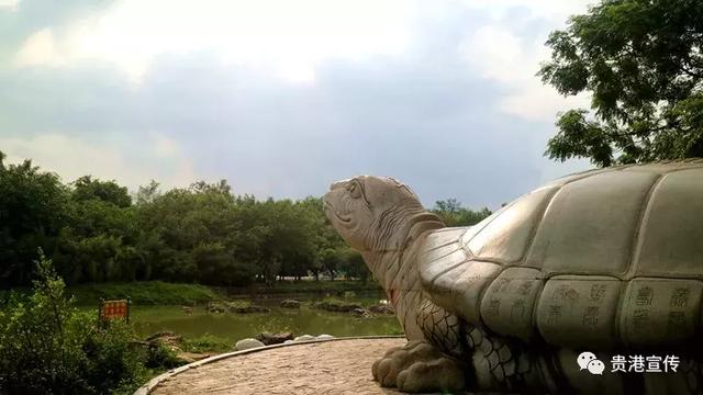 贵港市旅游景点，贵港旅游景点介绍大全集（盘点20个值得一去的好地方）