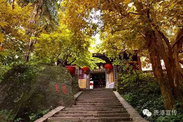 贵港市旅游景点，贵港旅游景点介绍大全集（盘点20个值得一去的好地方）