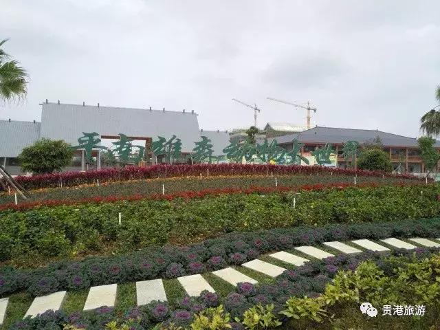贵港市旅游景点，贵港旅游景点介绍大全集（盘点20个值得一去的好地方）