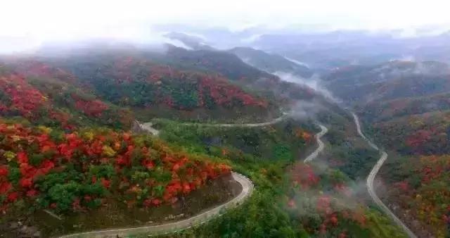 河南省内自驾游最美公路，河南最美旅游公路，你知道哪条