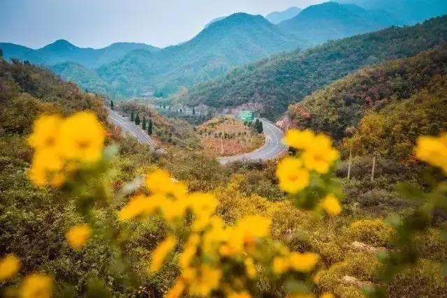 河南省内自驾游最美公路，河南最美旅游公路，你知道哪条