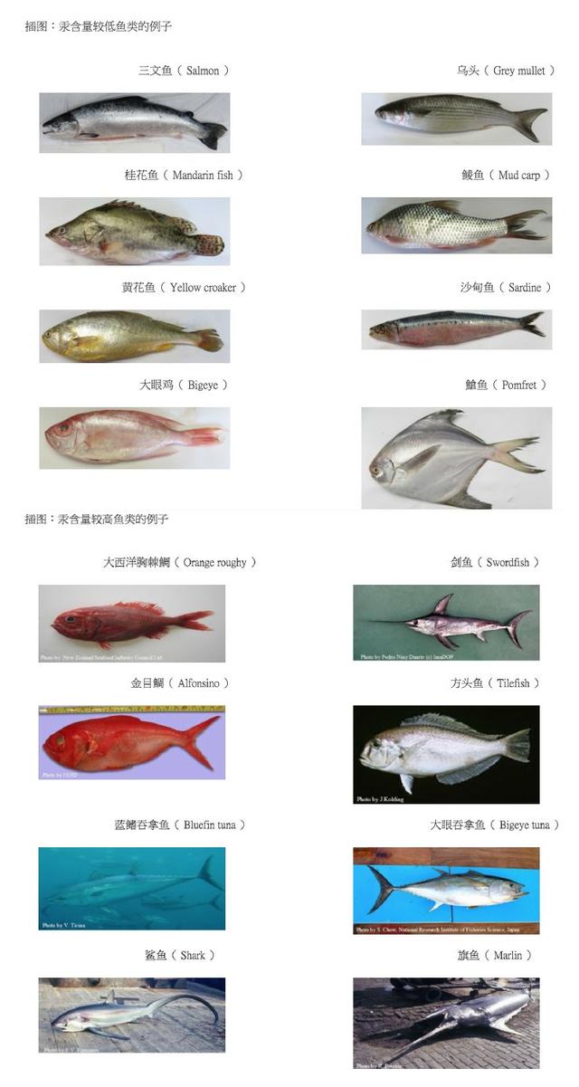 嘉宝米粉现在安全吗，有机嘉宝米粉安全吗