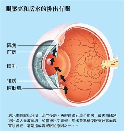  宝宝眼睛会慢慢变大吗，新生儿眼睛多久会变大呢