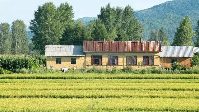 夏天东北三省旅游攻略，达人玩转黑龙江夏日亚布力