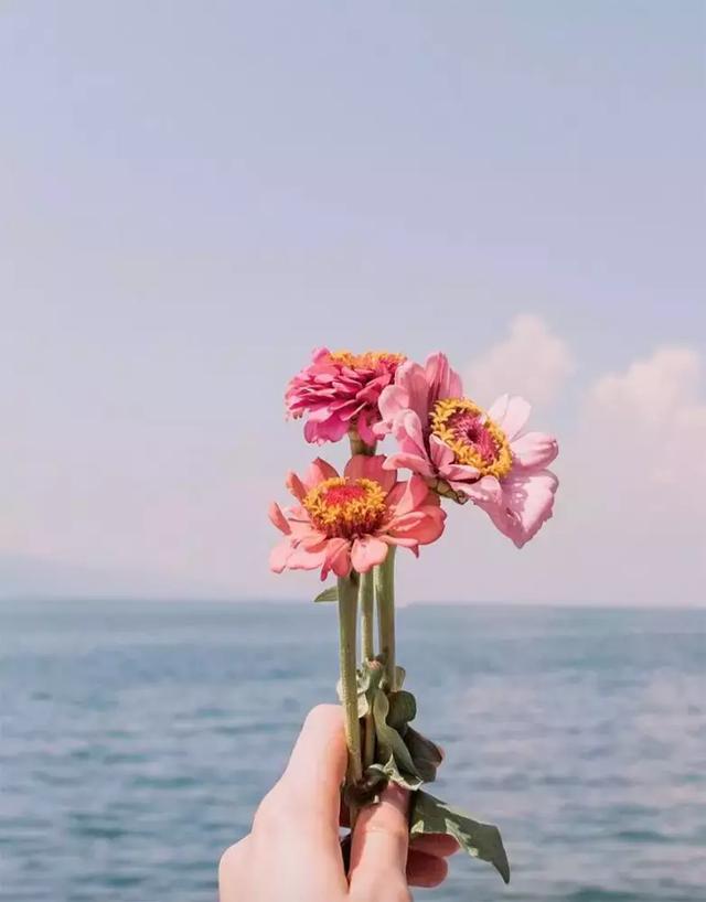 晚安的留言180921：想占便宜的人，永远觉得自己受委屈