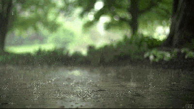 晚安美文180922：生活如雨，请撑伞原谅