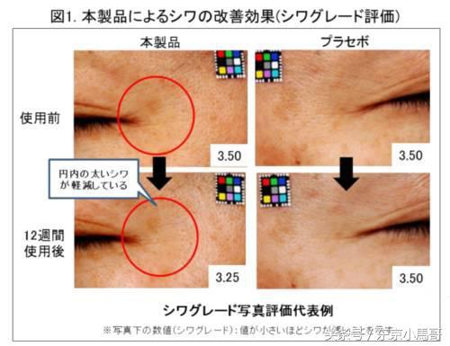 pola化妆品，pola黑色护肤水