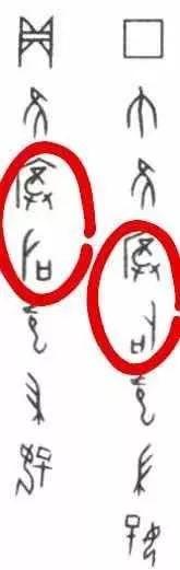 司母戊鼎为何改名为后母戊鼎，司母戊鼎为什么不出名