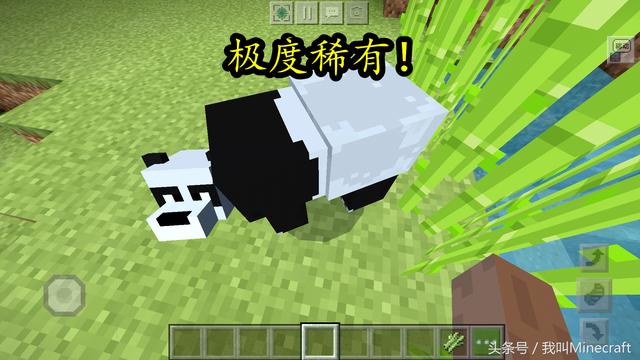 我的世界熊猫种类介绍，我的世界：不同熊猫有不同个性