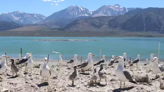 南加州十大免费景点，揭秘加州13个隐藏景点