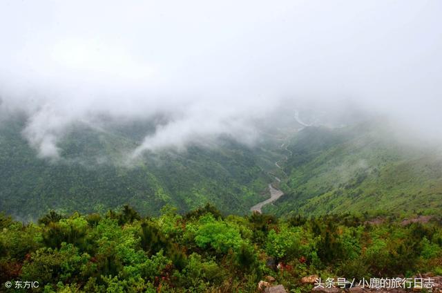 郴州旅游景点大全，郴州市内十大旅游景点（湖南郴州4天3晚的超级旅游攻略）