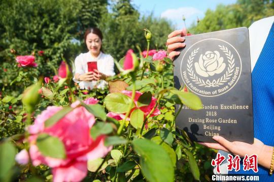 月季主题公园有哪些，北京世界月季主题园被正式授牌