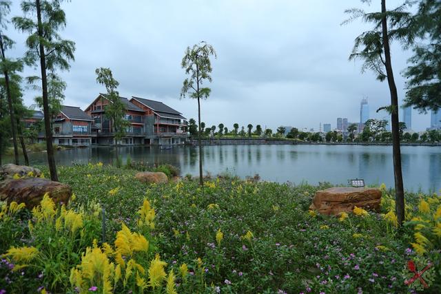 南宁有哪些景点值得一去，南宁这些热门景区公共交通可以到达