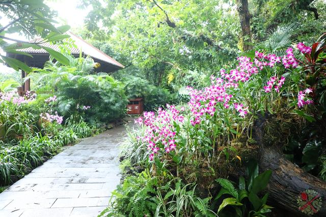 南宁有哪些景点值得一去，南宁这些热门景区公共交通可以到达