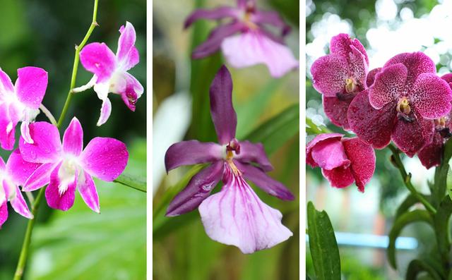 南宁有哪些景点值得一去，南宁这些热门景区公共交通可以到达